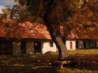 VeverДЌГ­ DvЕЇr 