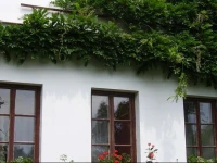 Sazava Holiday House 