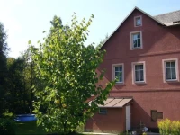 Tisova u Kraslic Holiday Home 1 