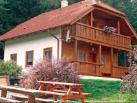 Svojanov 93 with Outdoor Swimmingpool Holiday Home 