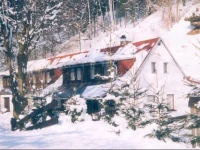Ve VlДЌicГ­ch Holiday Home 