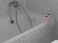 Nad Berounkou Guest House 