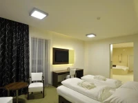 Lesni Hotel 4*