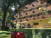 Alpenhotel + Restaurant Sardona