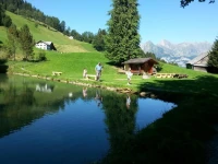 Schwendihof 3*