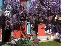 B&B villa sempreverde 3*