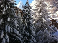Hausroc-Zermatt 4*