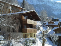 Chalet Gerbera