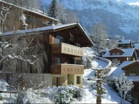 Chalet Gerbera 