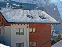Apartment Rose I Wengen 