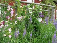 LillГҐns B&B 