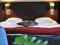 Comfort Hotel JГ¶nkГ¶ping