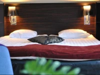 Comfort Hotel JГ¶nkГ¶ping 