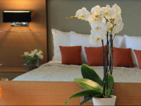 Elektra Hotel & Spa