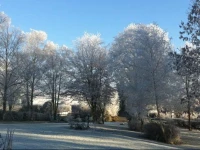 Bunratty Ashgrove House Bed & Breakfast 