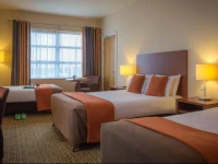 Maldron Hotel & Leisure Centre Limerick 3*
