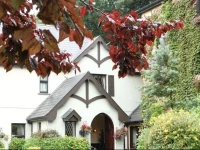 Aherlow House Hotel & Lodges 3*