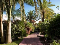 Hacienda San Jorge 3*