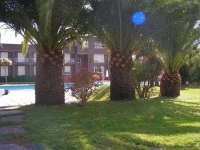 Don Hotel 2*