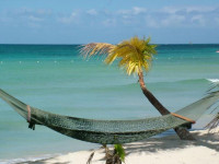 Golden Seas Beach Resort