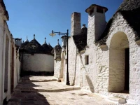 Trullidea 