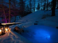 Les Neiges DAntan 3*