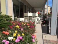 Hotel Angelo 3*