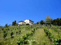 Albergo La Pieve 3*