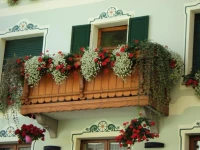 Albergo Scarpone 3*