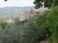 Castello Di Cisterna 
