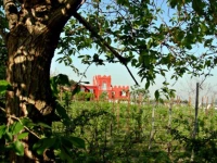 Albergo La Vigna 4*