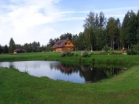 Kalnakriknas 