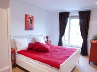 Luxury Kaunas Centre Apartments 