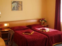 Hotel Żuławy 3*
