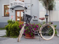Hotel Herman 4*