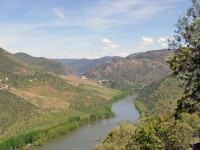 Quinta do Salgueiro