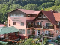 Pension Piscul Soarelui 3*