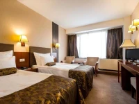 Grand Hotel Napoca 4*