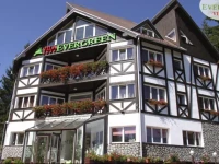 Vila Evergreen 4*