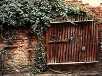 Guesthouse Casa Baciu 3*