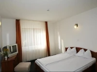 Hotel Paltinis 3*