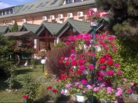Pensiunea Scorpion Cazare Suceava 3*
