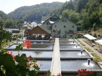 Complex Lostrita 3*