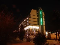 Hotel Bradul 3*