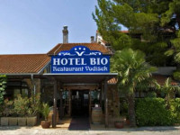 Bio