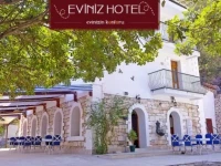 Eviniz  