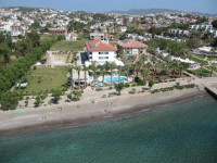 Mare