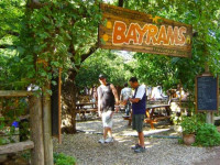 Bayrams Tree Houses