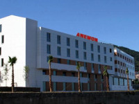 Anemon Ordu
