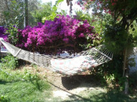 Flower Pension